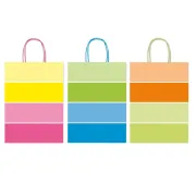 Shopper bicolor - con manici - carta ritorta - 36 x 12 x 41 cm - colori assortiti - Rex Sadoch SDF36BICOL - 