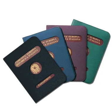 portabiglietti da visita - Porta passaporto - colori assortiti - Alplast - conf. 24 pezzi 1012 - 