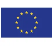 Bandiera Europa - poliestere nautico - 100x150 cm BAE150 - 