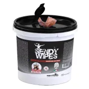 Salviette umidificate Sandy Wipes - 26 x 27 cm - Nettuno - conf. 100 pezzi 00813 - salviette, fazzoletti e lenzuolini