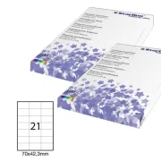 Etichette adesive - permanenti - 70 x 42,3 mm - 21 et/fg - 100 fogli A4 - bianco - Starline STL3025 - etichette carta copy-la...