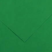 Foglio Colorline - 70x100 cm - 220 gr - verde vivo - Canson 200041216 - carta e cartoncino